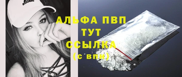 МДПВ Абаза