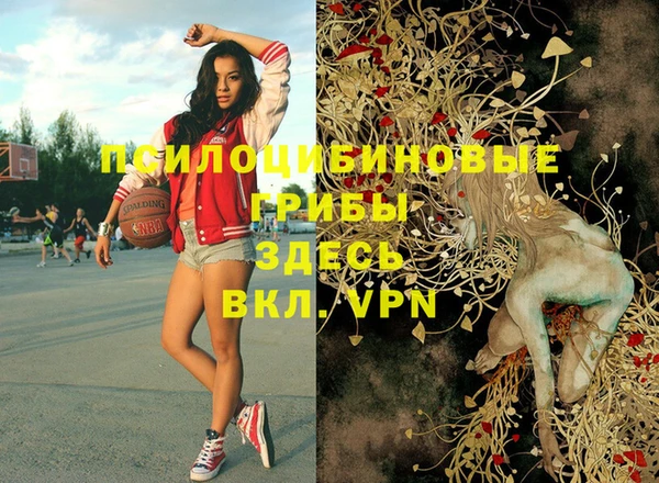 дживик Абинск