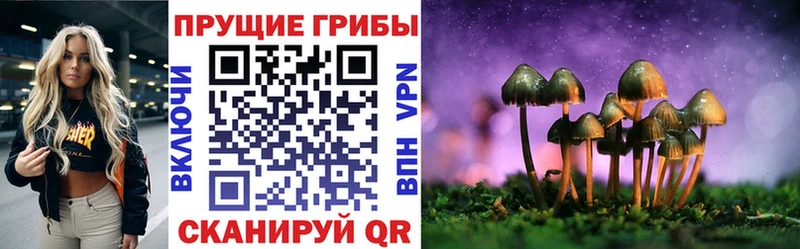 Галлюциногенные грибы Psilocybe  Струнино 